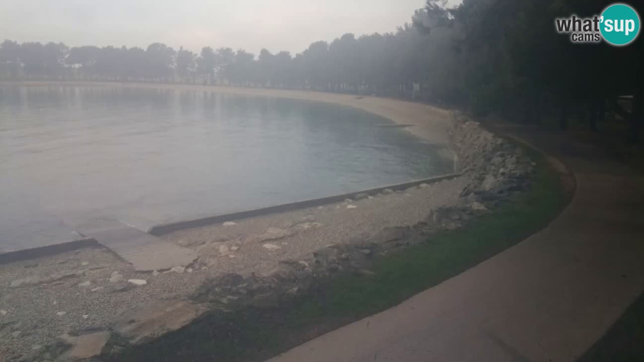 Novigrad – Plaža Karpinjan