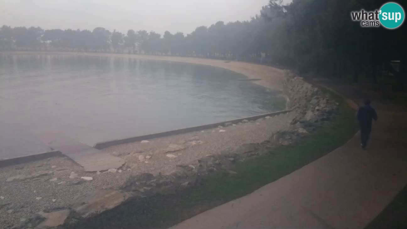 Novigrad live cam – Karpinjan beach