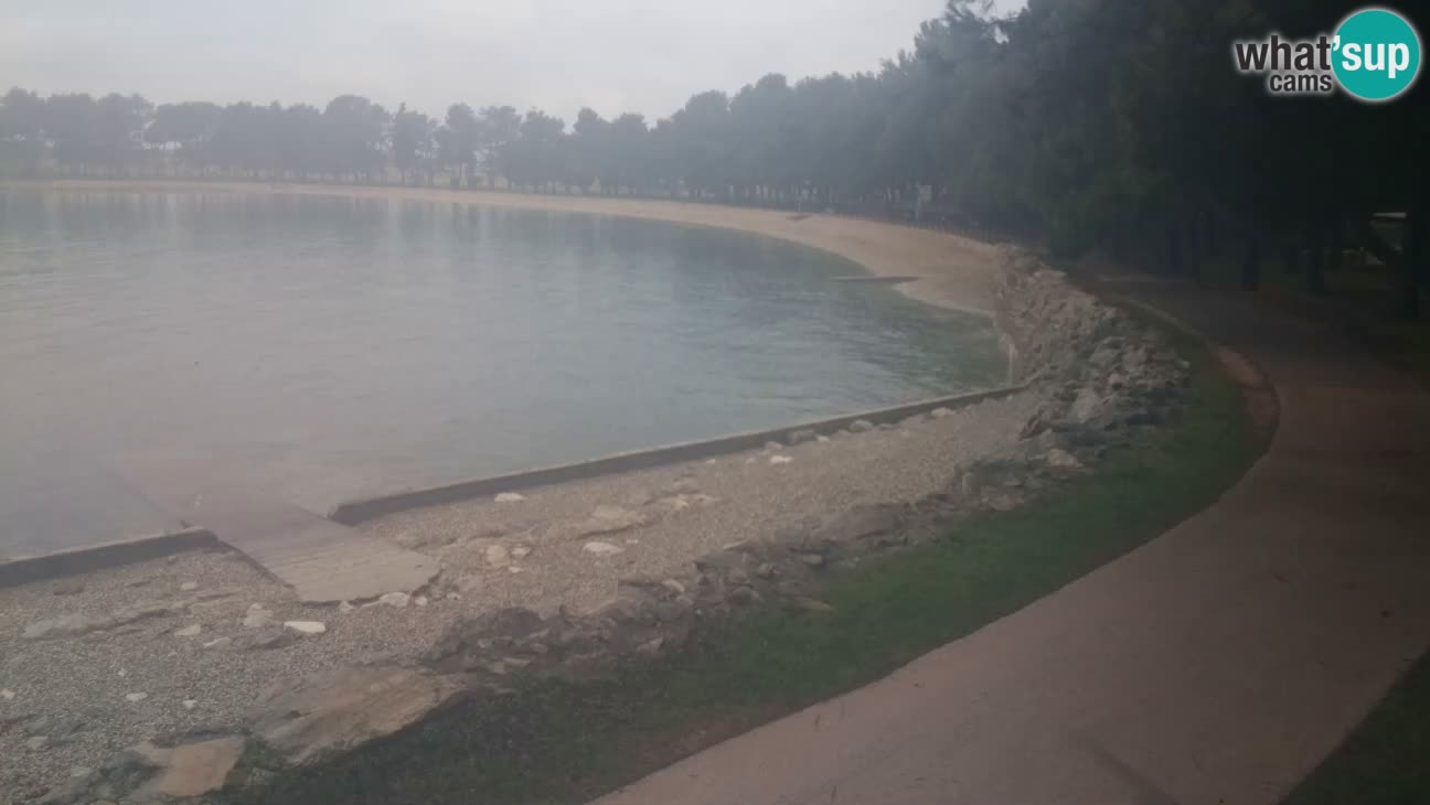 Novigrad live cam – Karpinjan beach