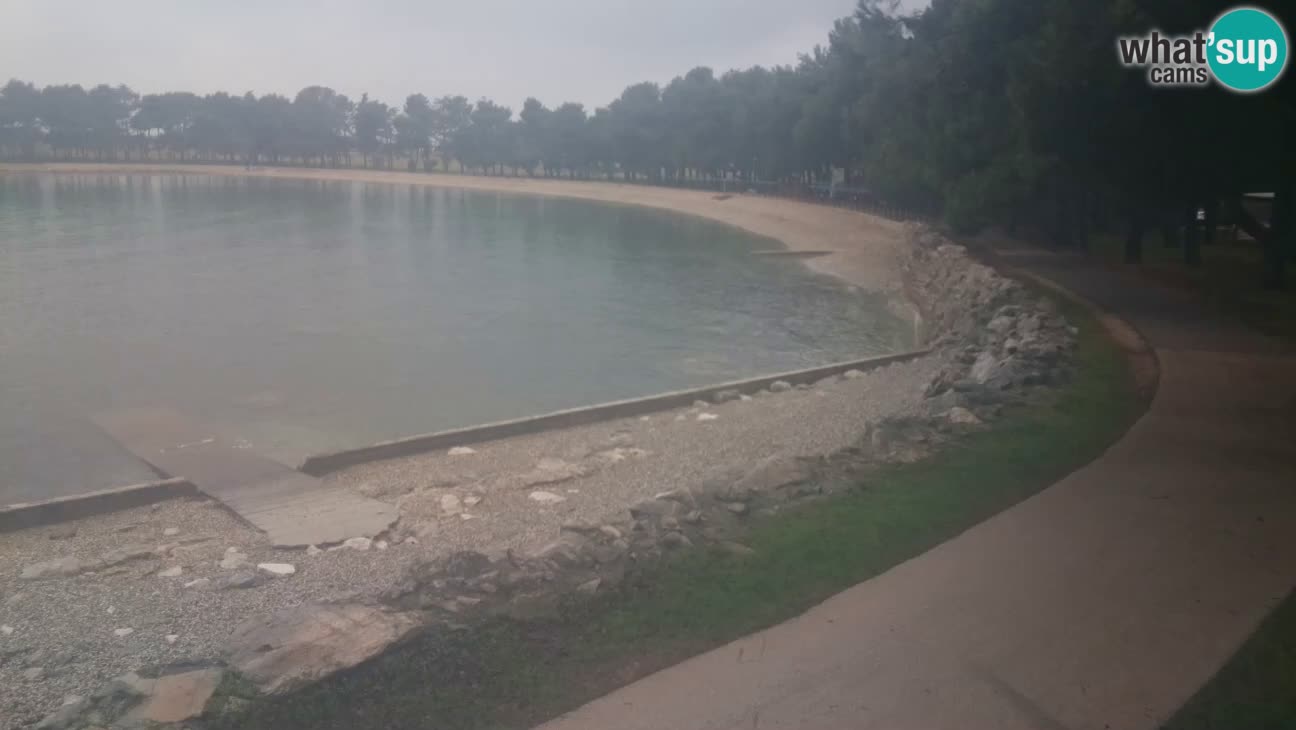 Novigrad – Plaža Karpinjan