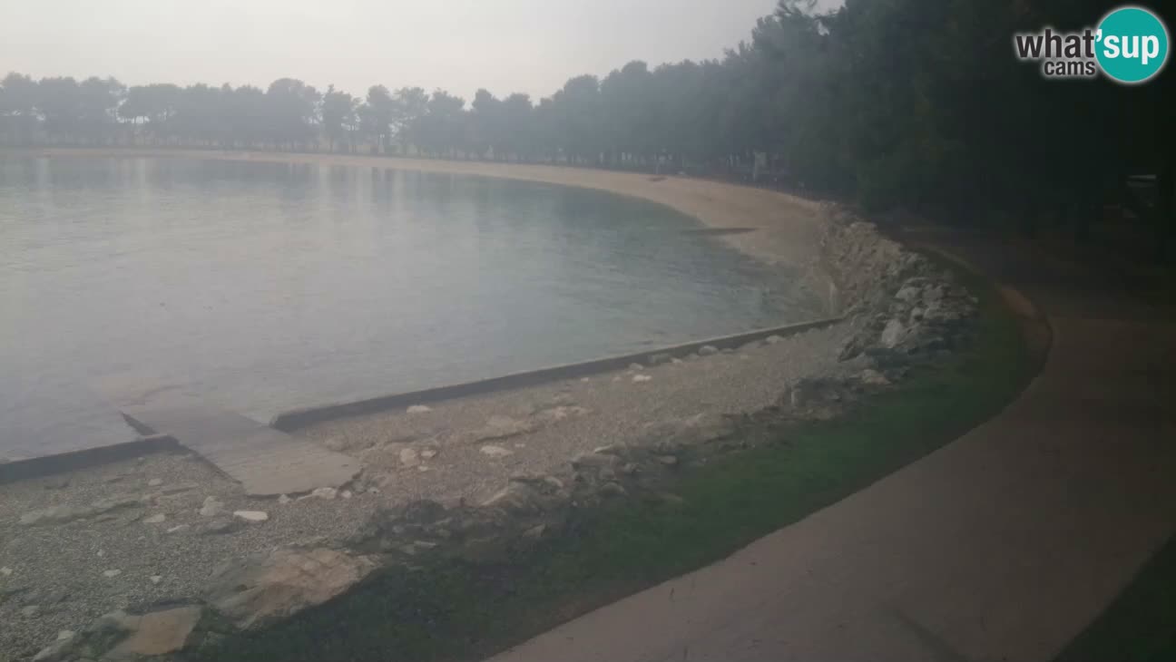 Novigrad live cam – Karpinjan beach