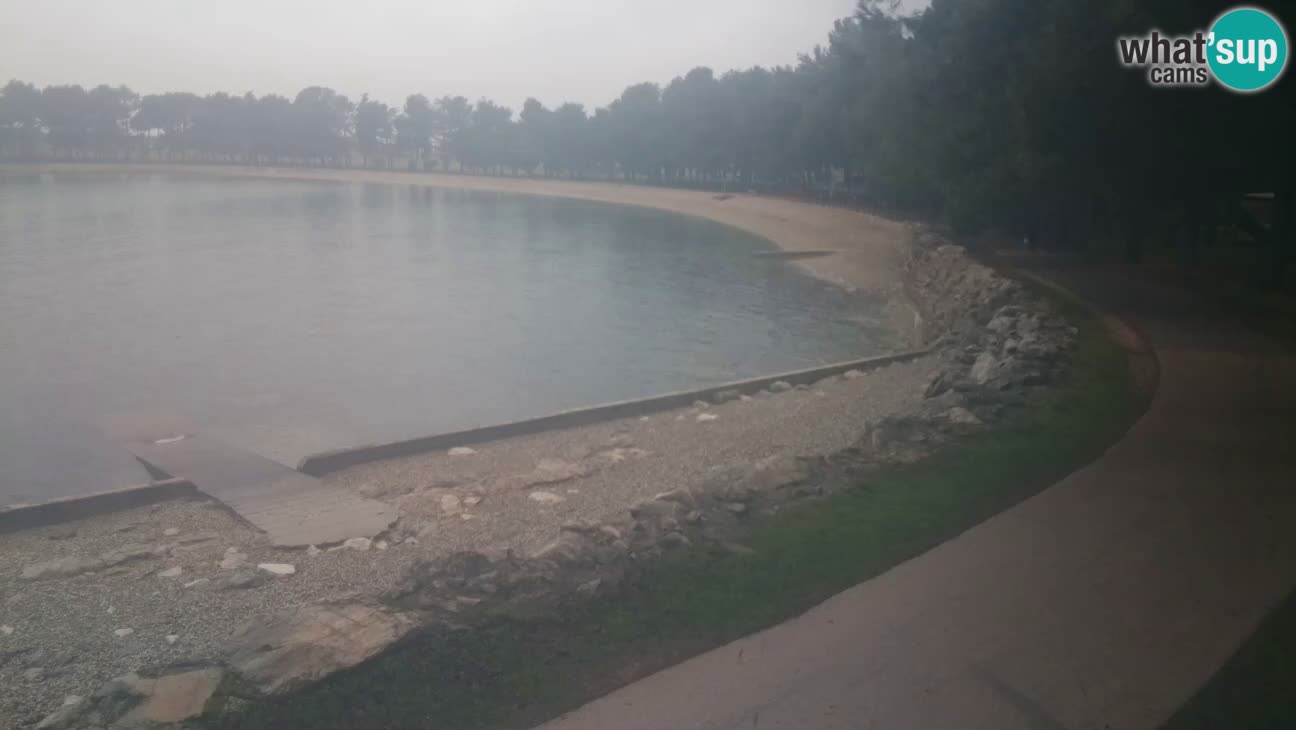 Novigrad – Plage Karpinjan