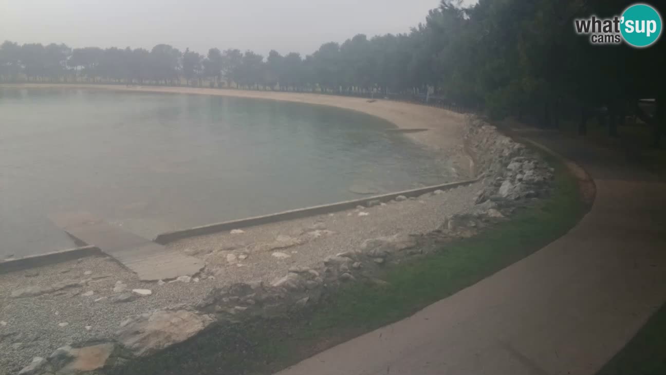 Novigrad live cam – Karpinjan beach