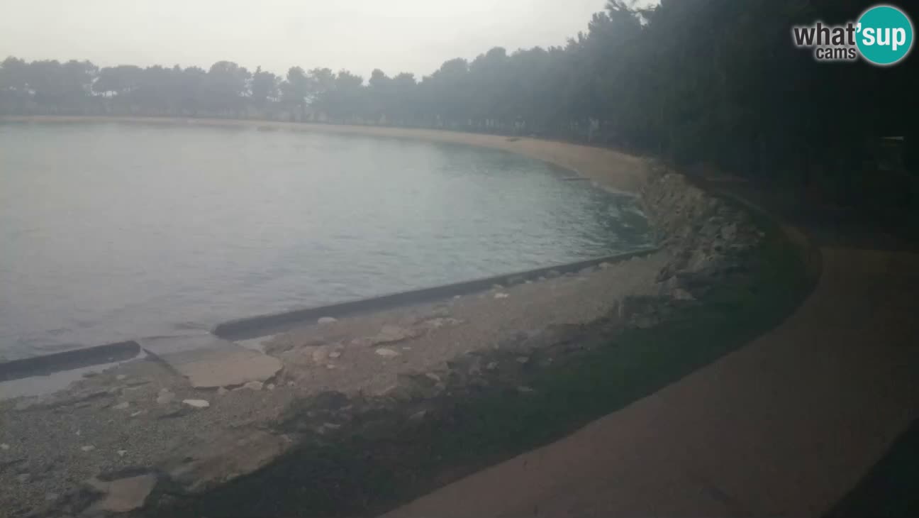 Novigrad – Playa Karpinjan