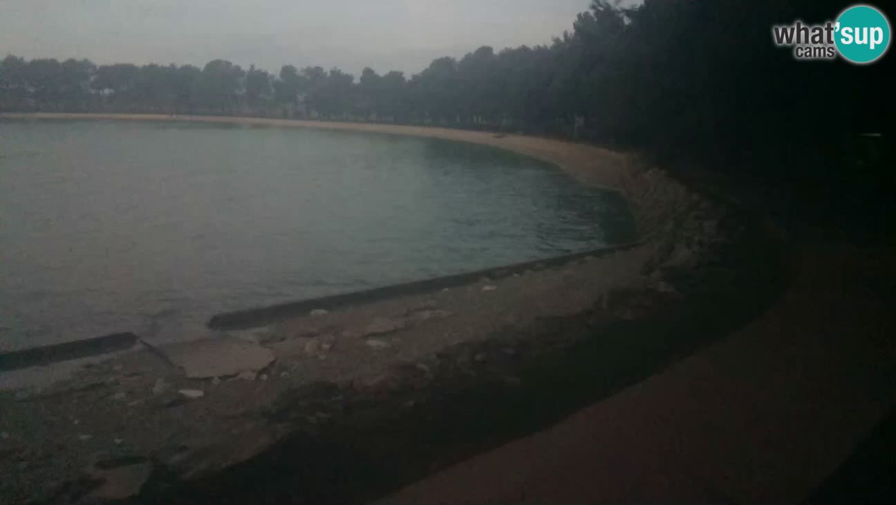 Novigrad – Plaža Karpinjan