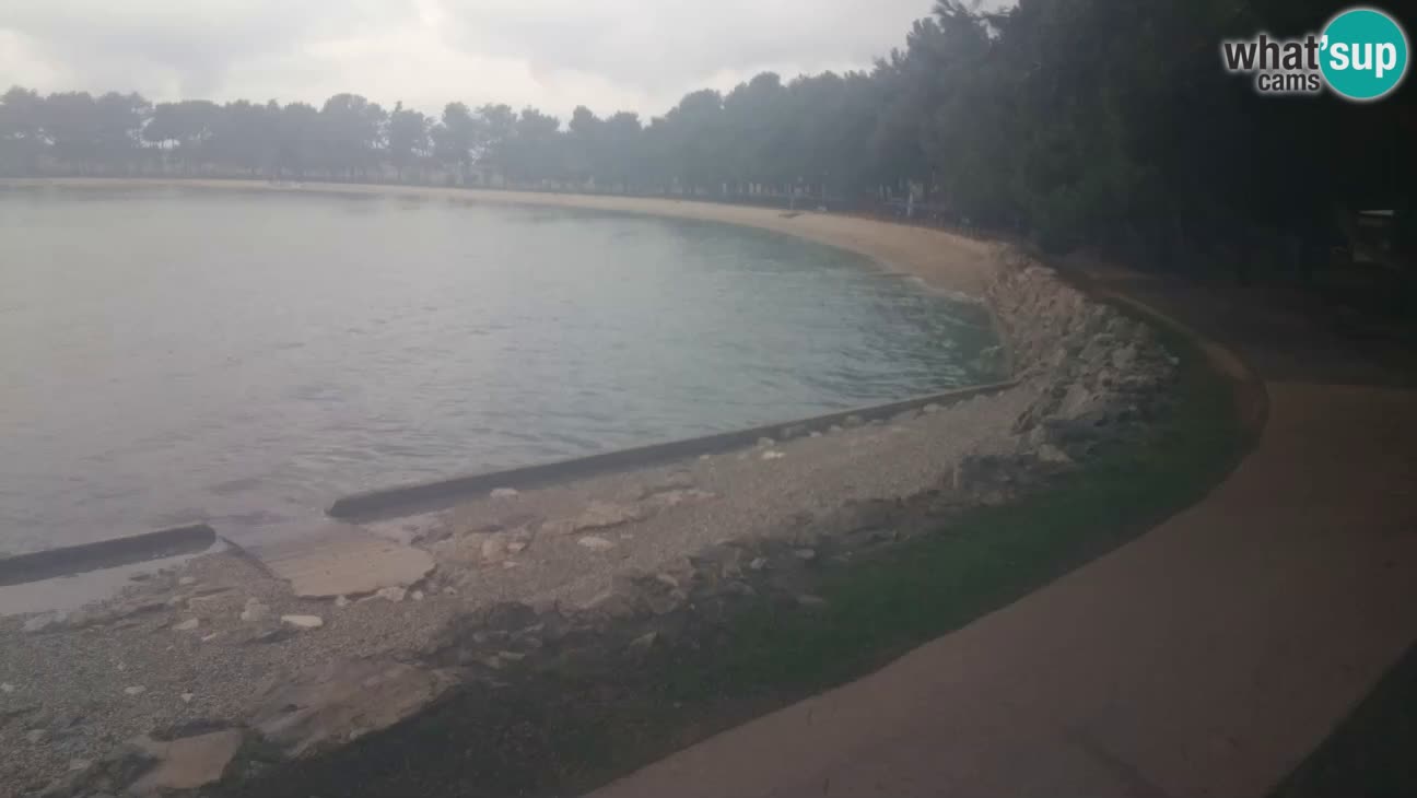 Novigrad – Playa Karpinjan