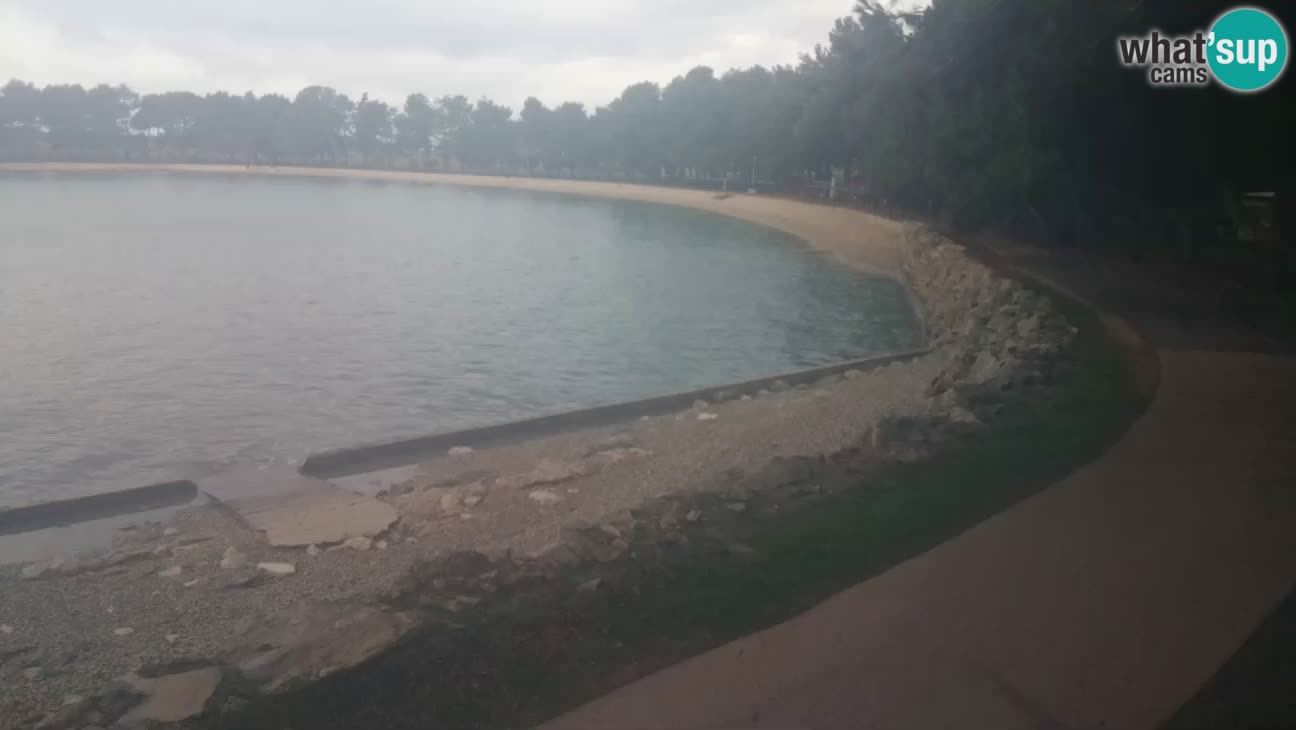 Novigrad – Plage Karpinjan