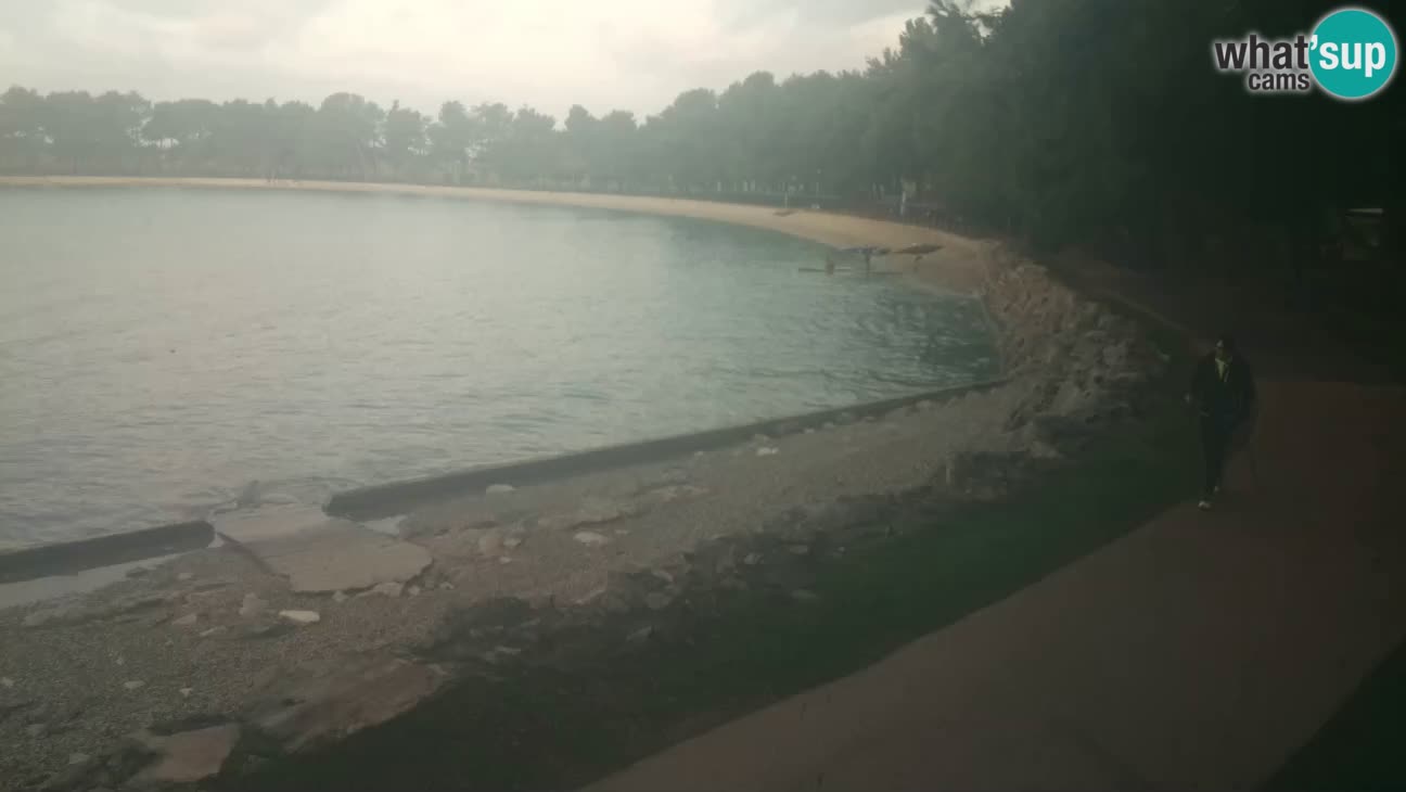 Novigrad – Plage Karpinjan