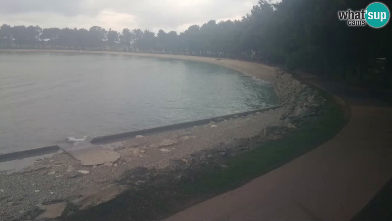 Novigrad – Playa Karpinjan