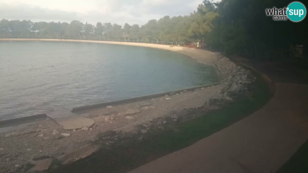 Novigrad – Strand Karpinjan webcam