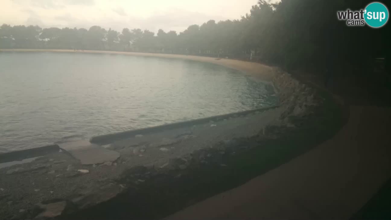 Novigrad – Plaža Karpinjan