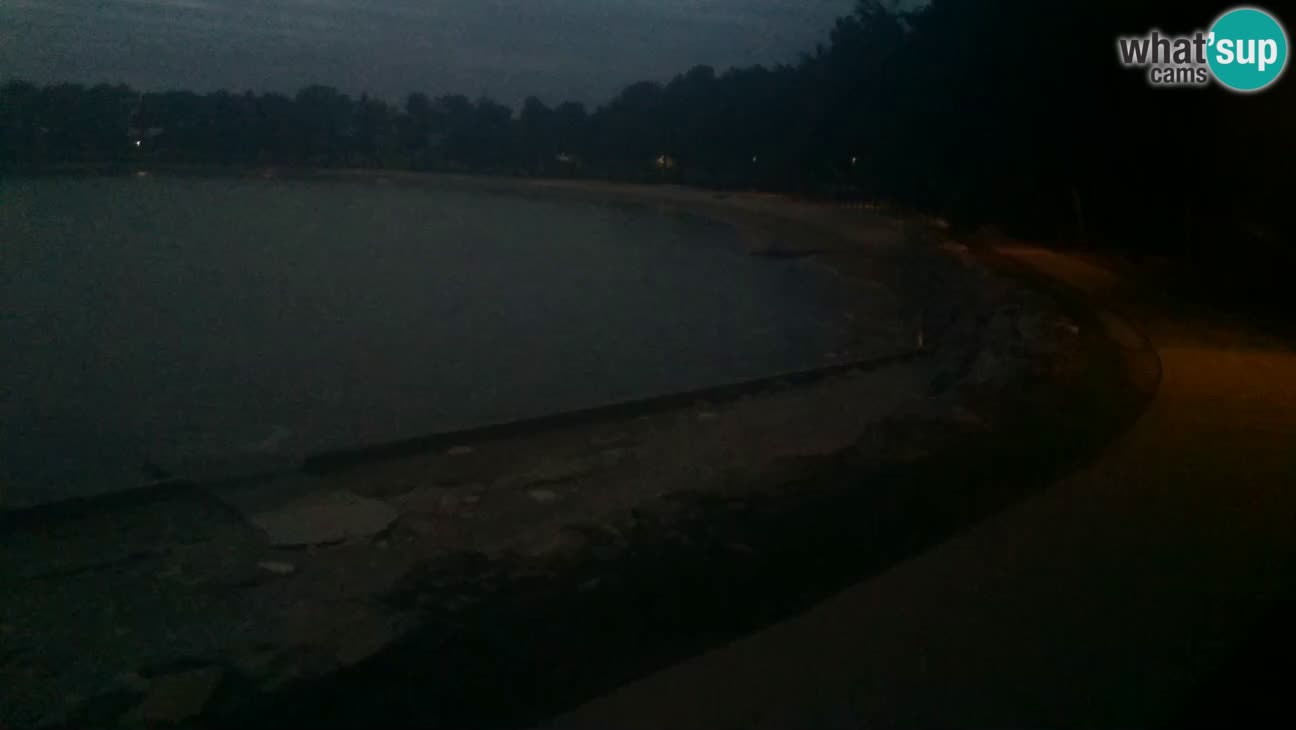 Novigrad – Strand Karpinjan webcam