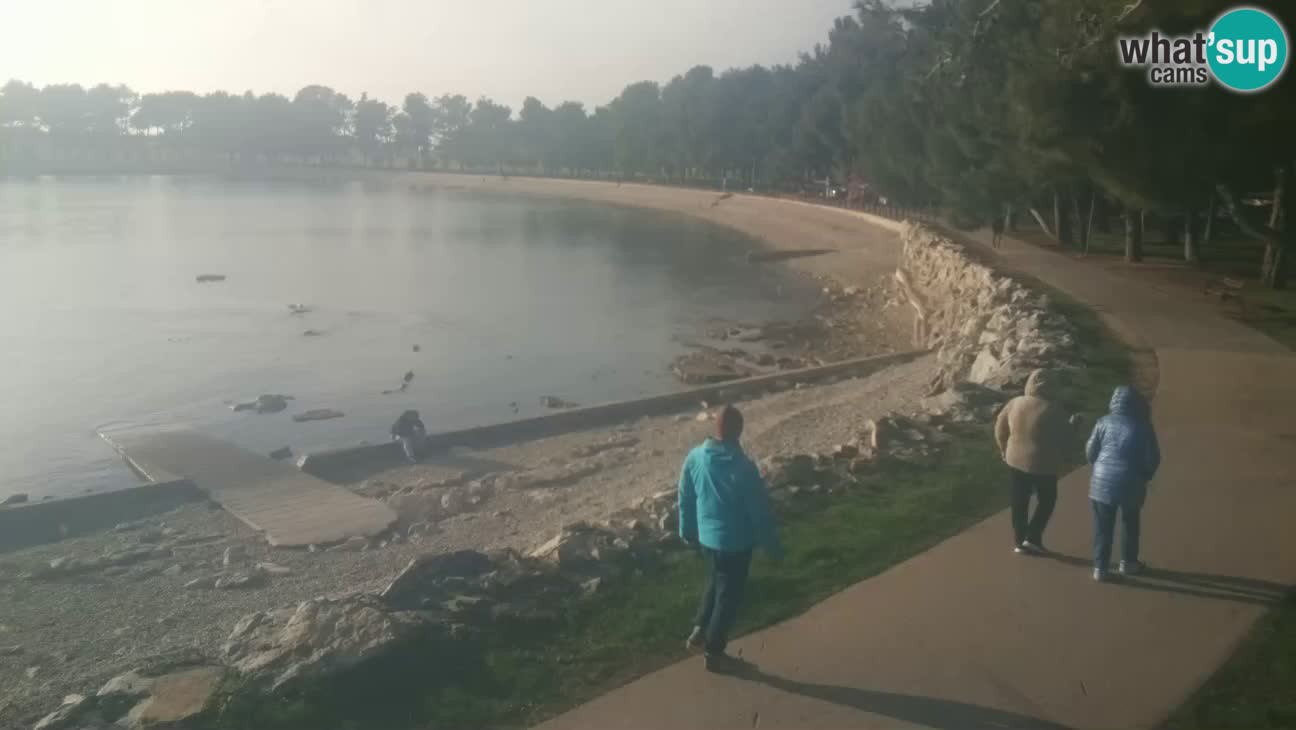 Novigrad – Strand Karpinjan webcam