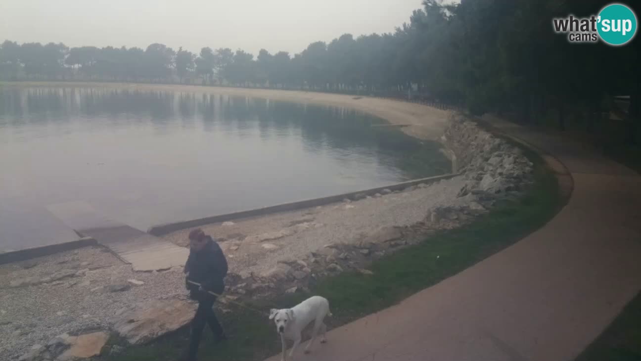 Novigrad live cam – Karpinjan beach