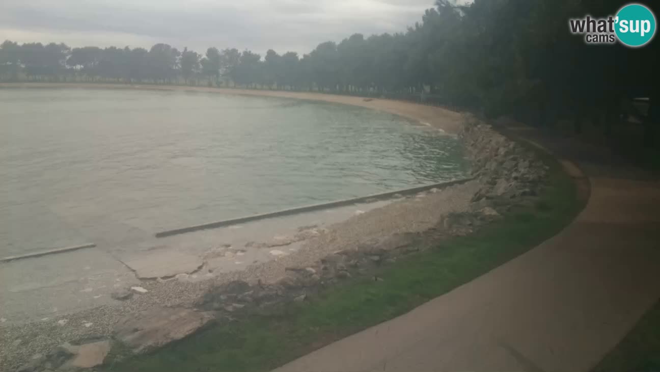 Novigrad – Strand Karpinjan webcam