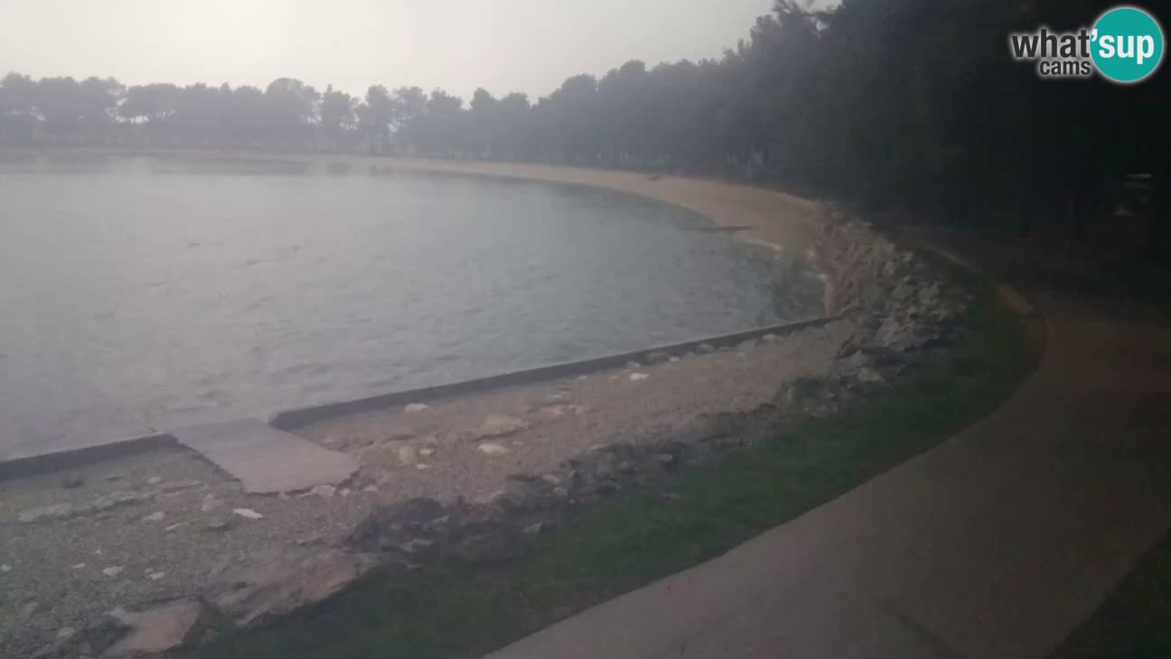 Novigrad – Strand Karpinjan webcam