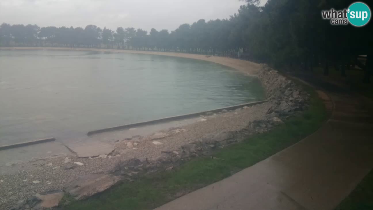 Novigrad – Plage Karpinjan