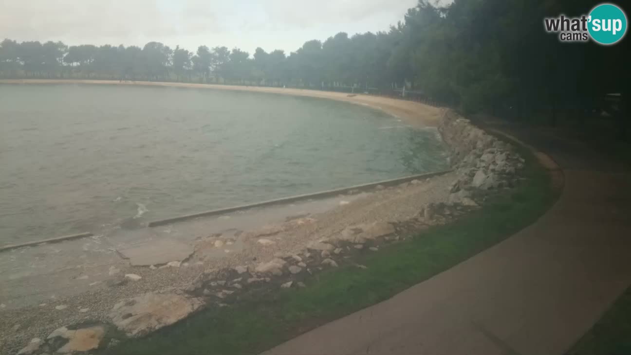 Novigrad – Plaža Karpinjan