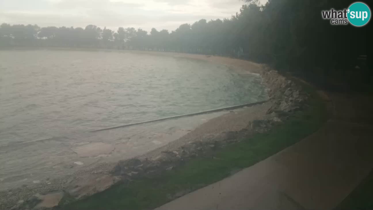 Cittanova – Spiaggia Karpinjan