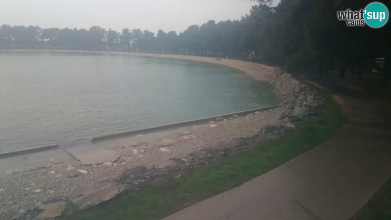 Novigrad – Plaža Karpinjan