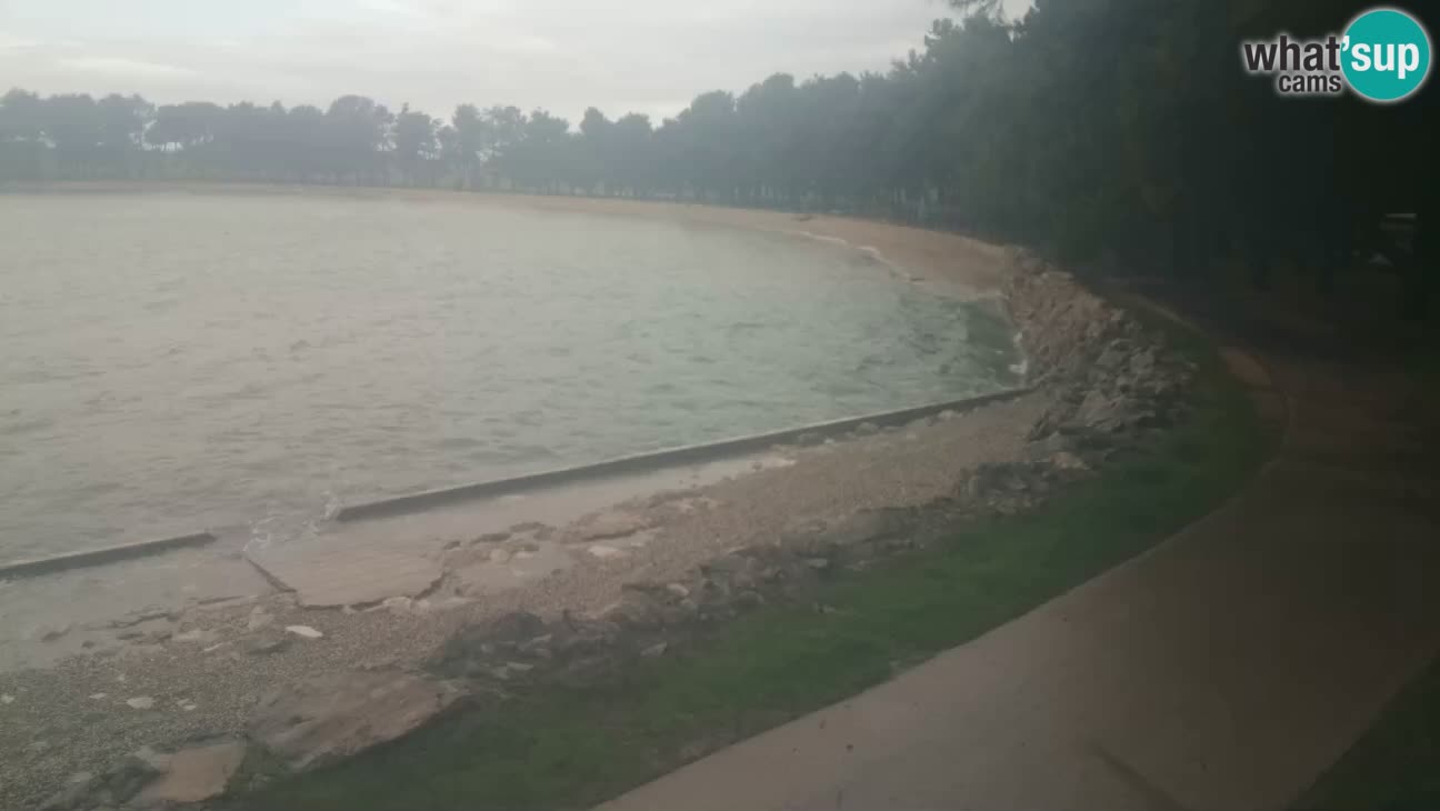 Cittanova – Spiaggia Karpinjan