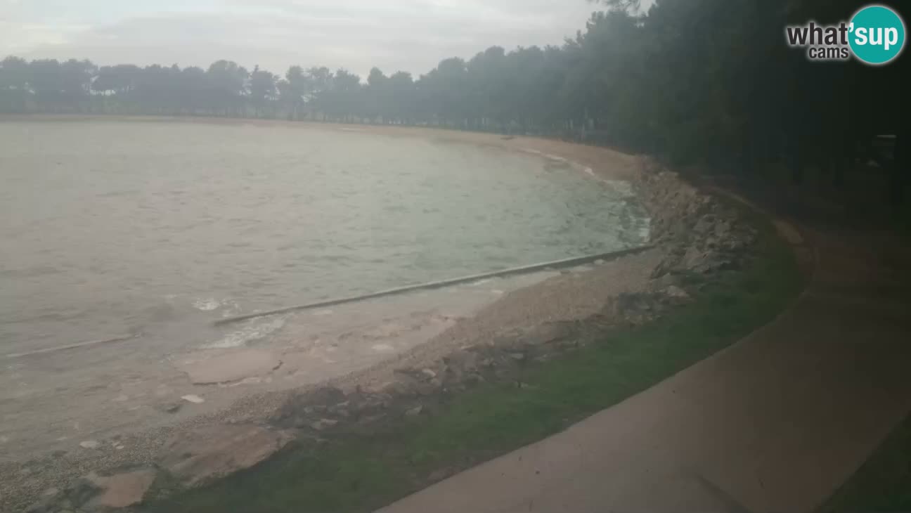 Novigrad – Strand Karpinjan webcam