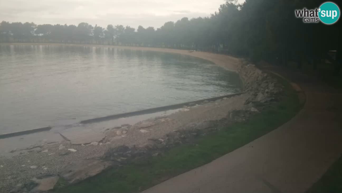 Novigrad live cam – Karpinjan beach