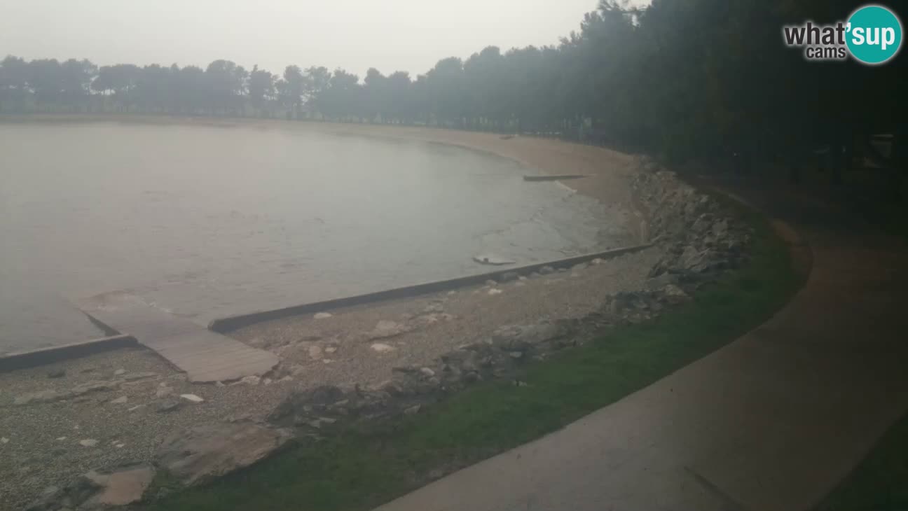 Novigrad – Strand Karpinjan webcam