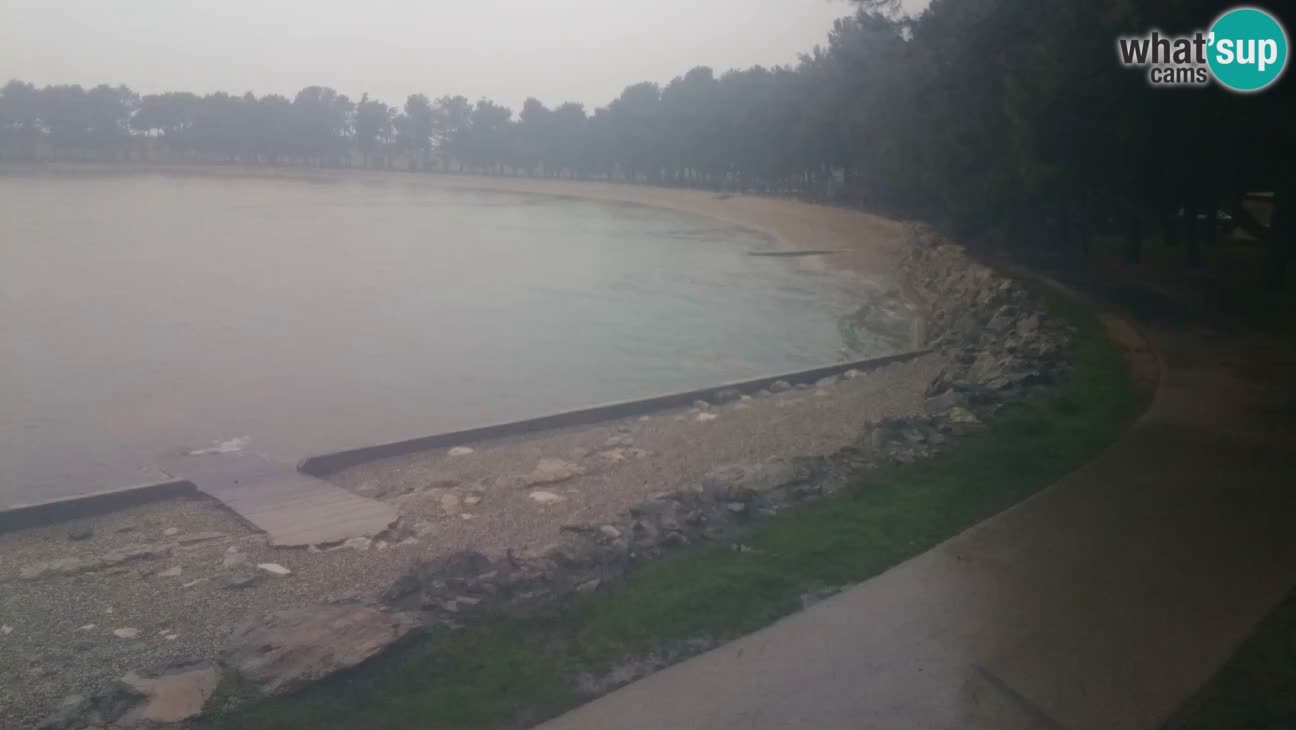 Novigrad – Plaža Karpinjan