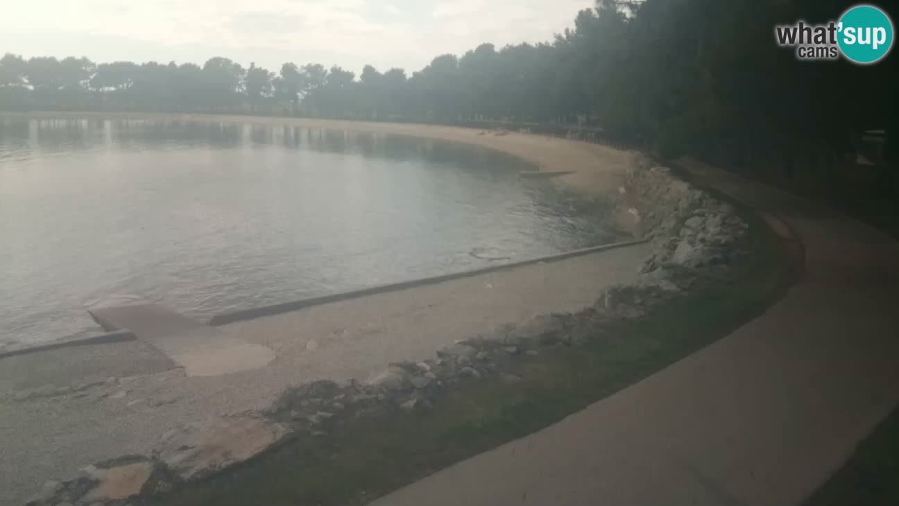 Novigrad – Plaža Karpinjan