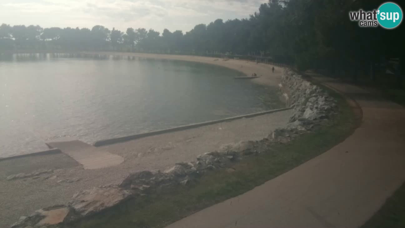 Novigrad – Strand Karpinjan webcam