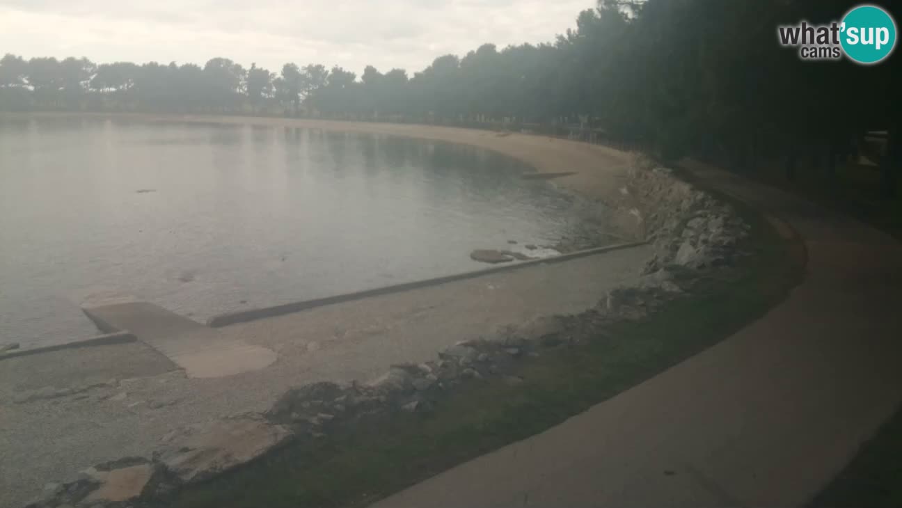 Novigrad – Strand Karpinjan webcam