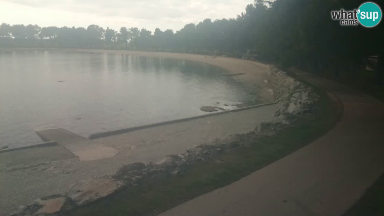 Novigrad – Plaža Karpinjan