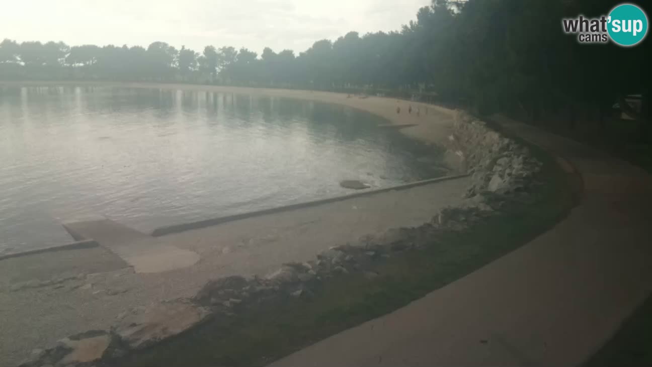Novigrad – Playa Karpinjan