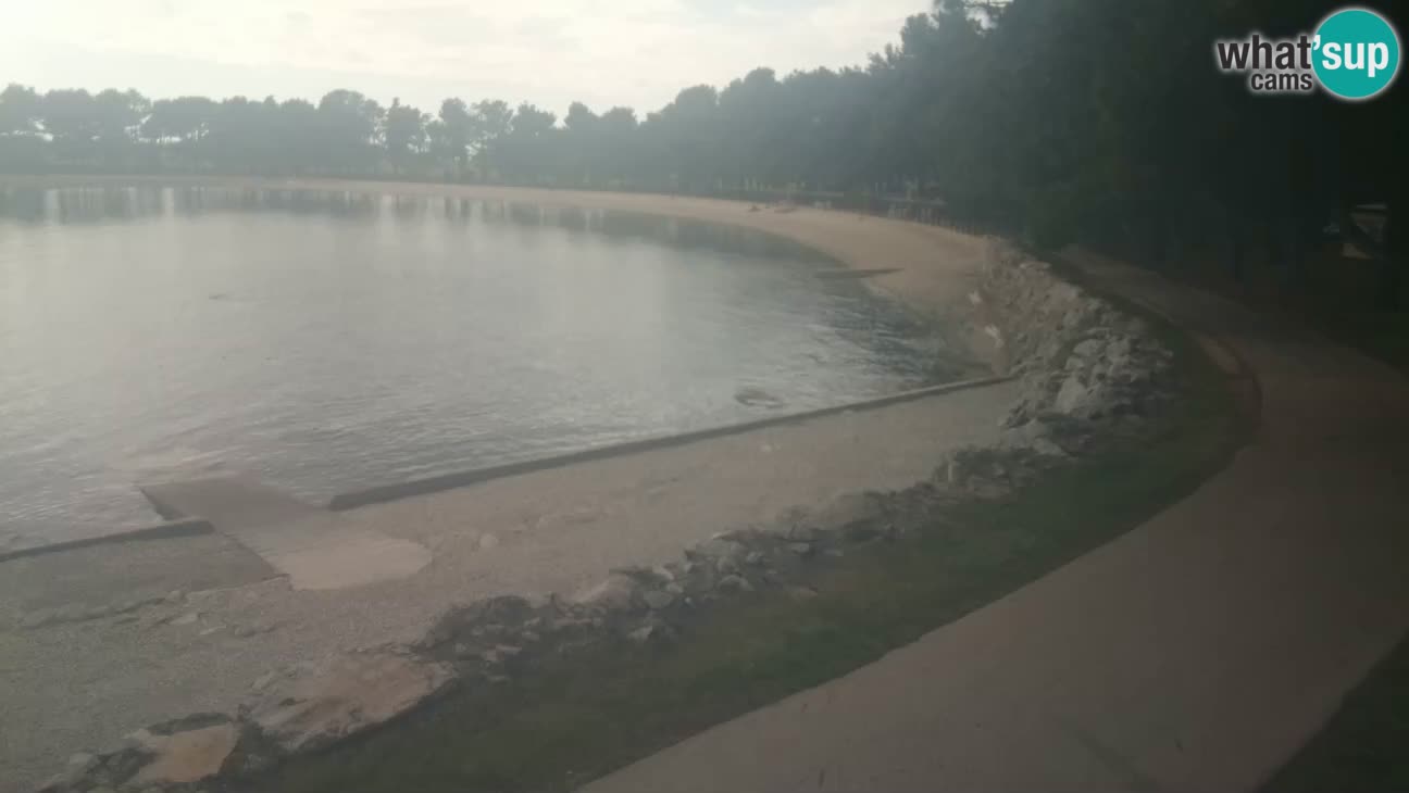 Novigrad – Plage Karpinjan