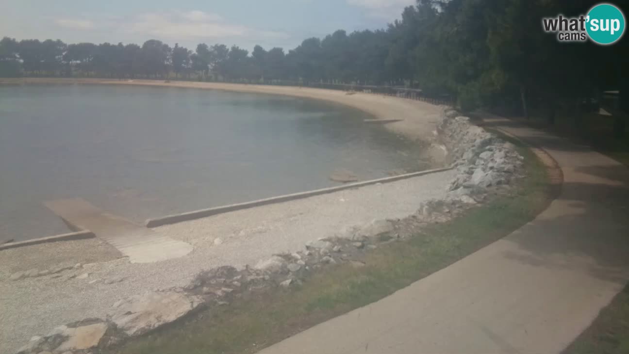Novigrad – Playa Karpinjan