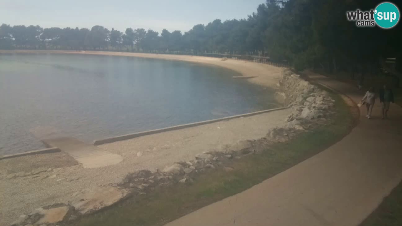 Novigrad – Strand Karpinjan webcam