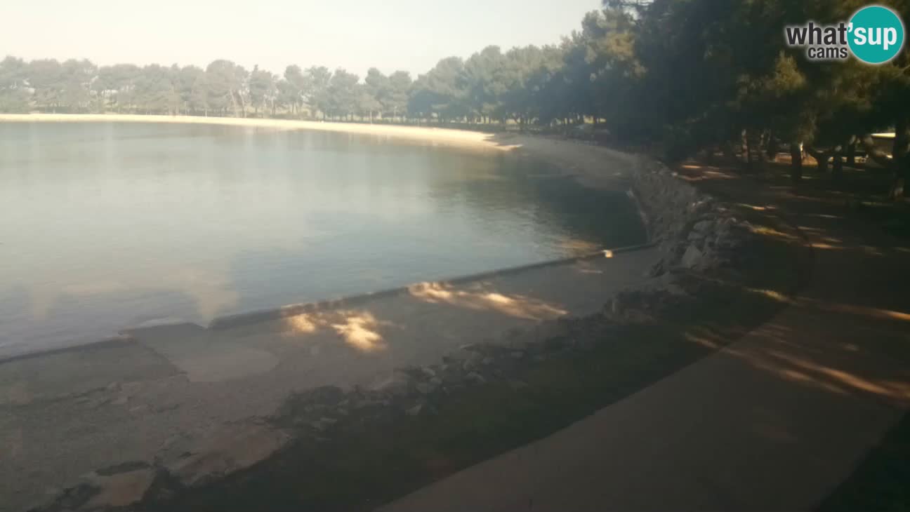 Novigrad – Playa Karpinjan