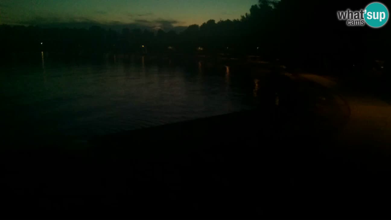Novigrad – Plaža Karpinjan