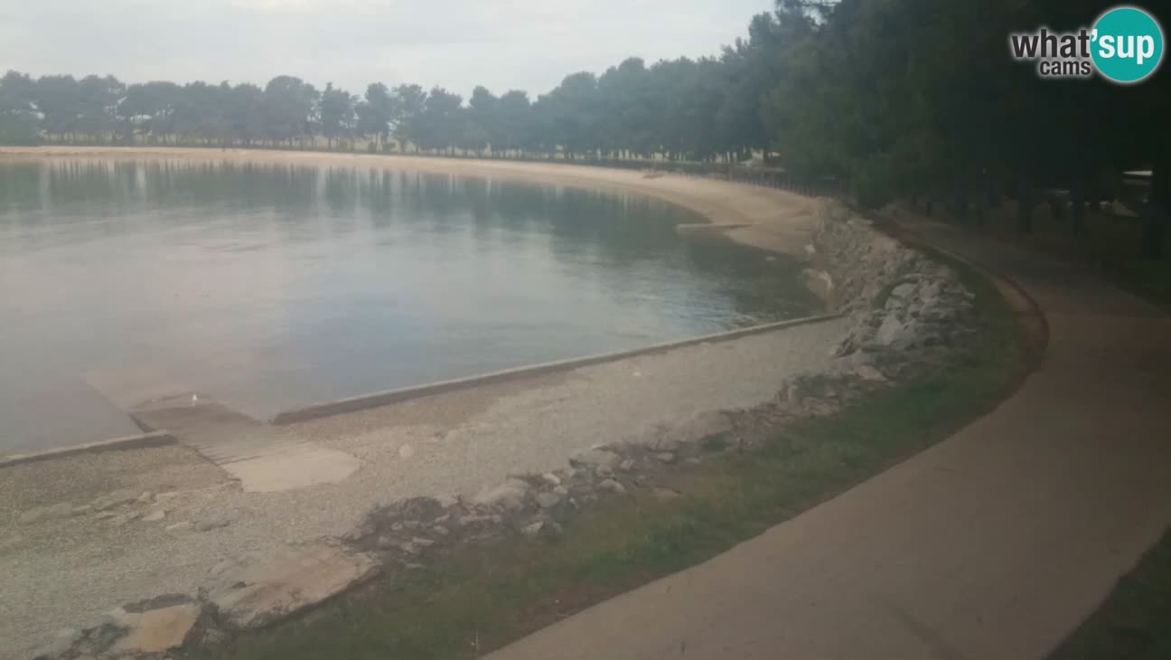 Novigrad live cam – Karpinjan beach