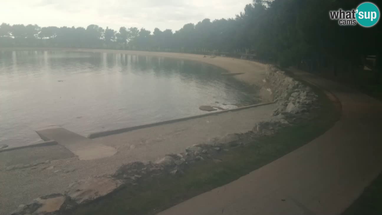 Novigrad – Strand Karpinjan webcam