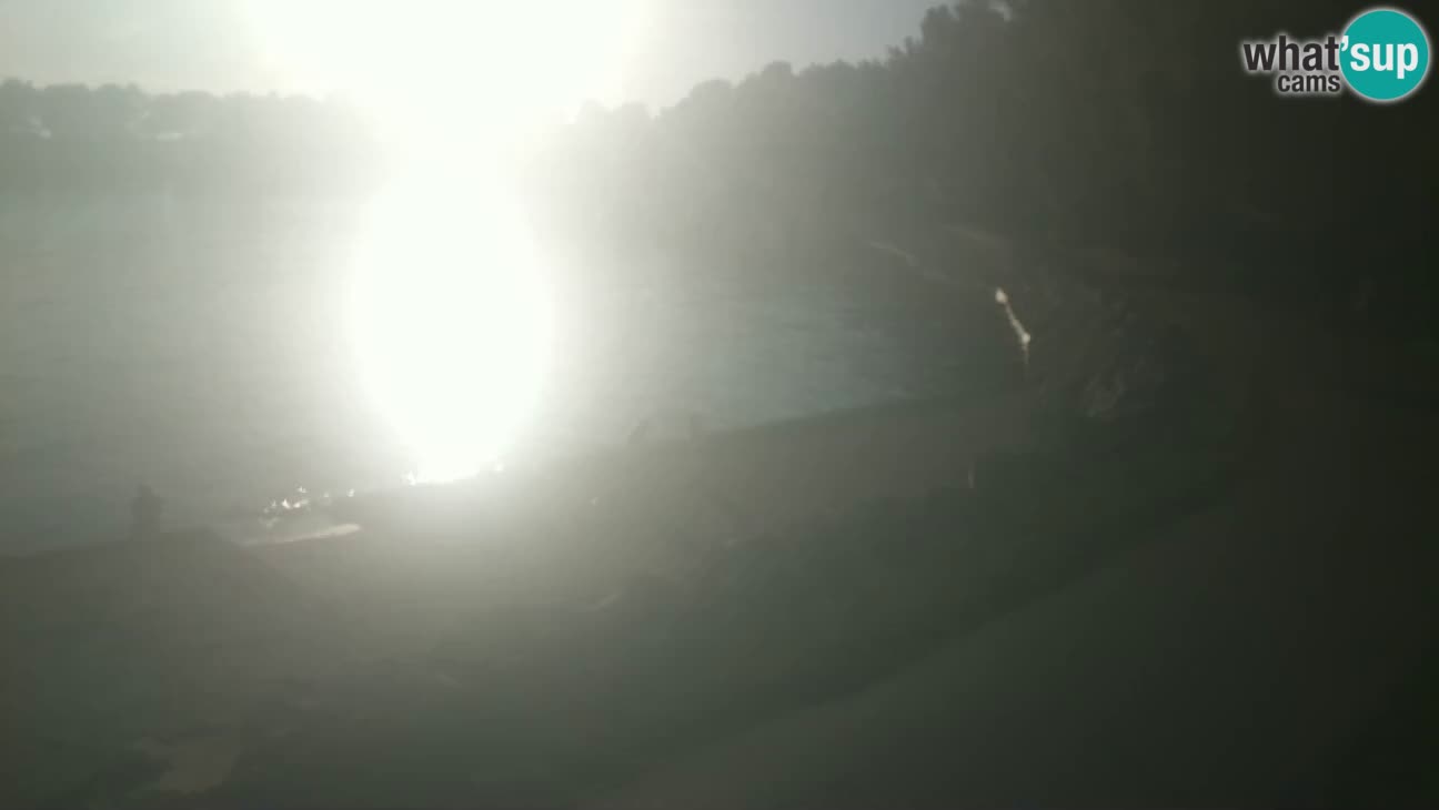 Novigrad – Strand Karpinjan webcam