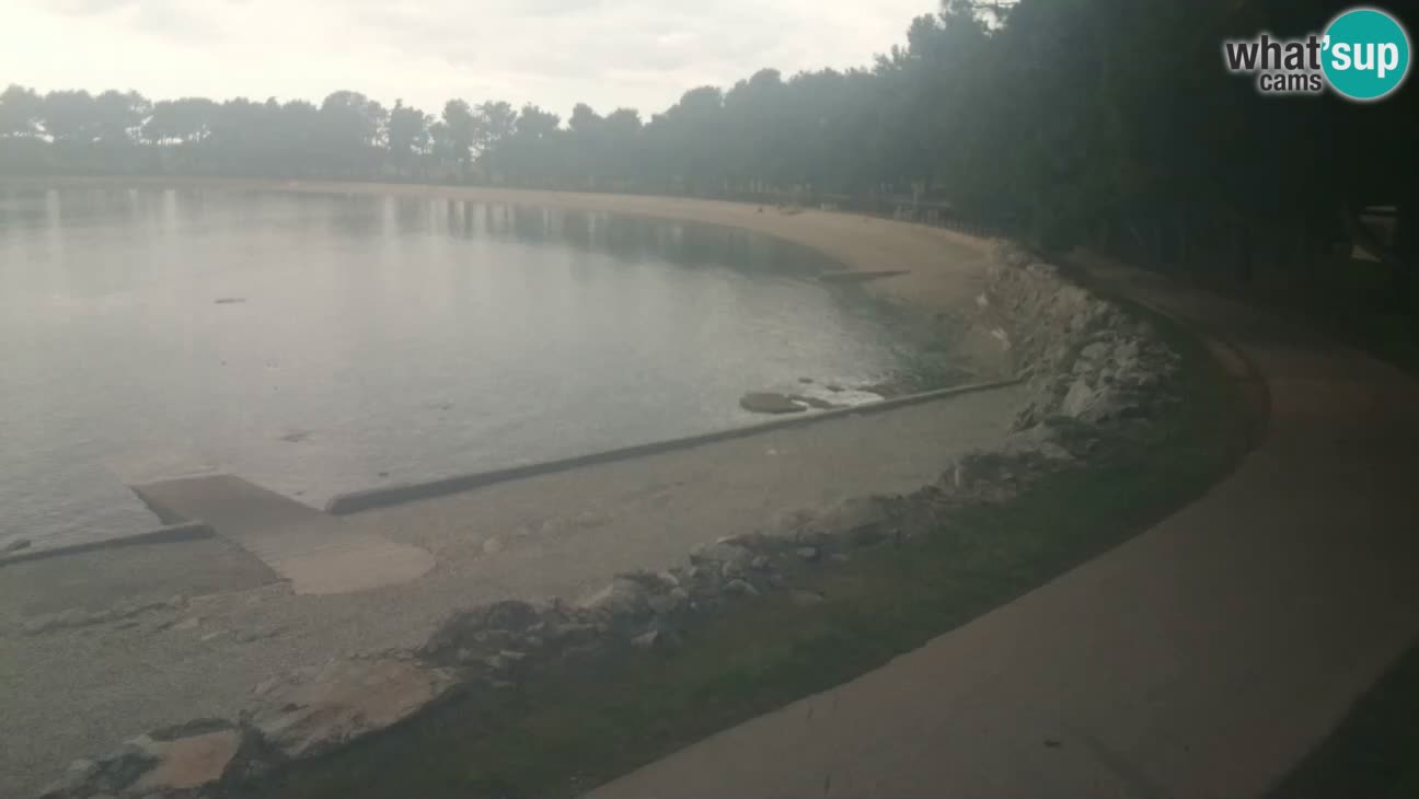 Novigrad live cam – Karpinjan beach