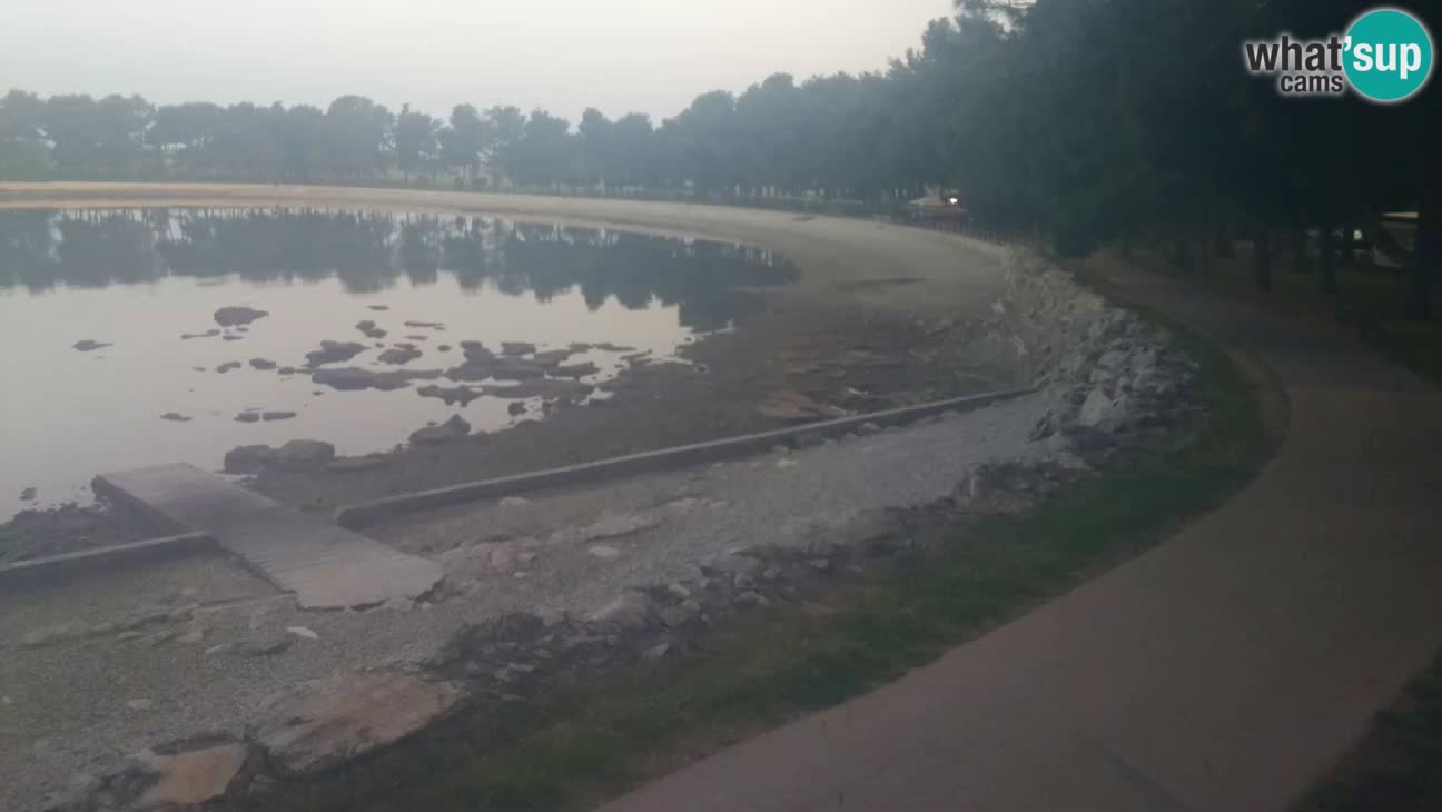 Novigrad – Plaža Karpinjan