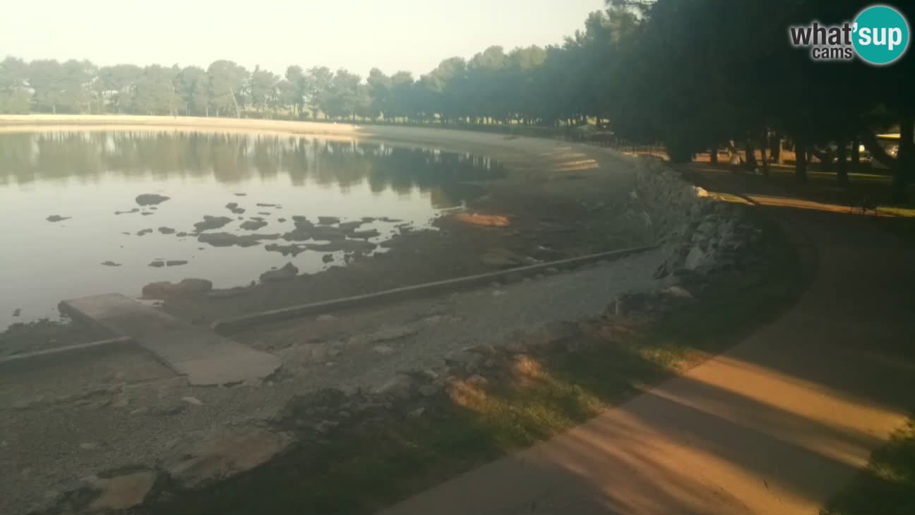 Novigrad – Plaža Karpinjan