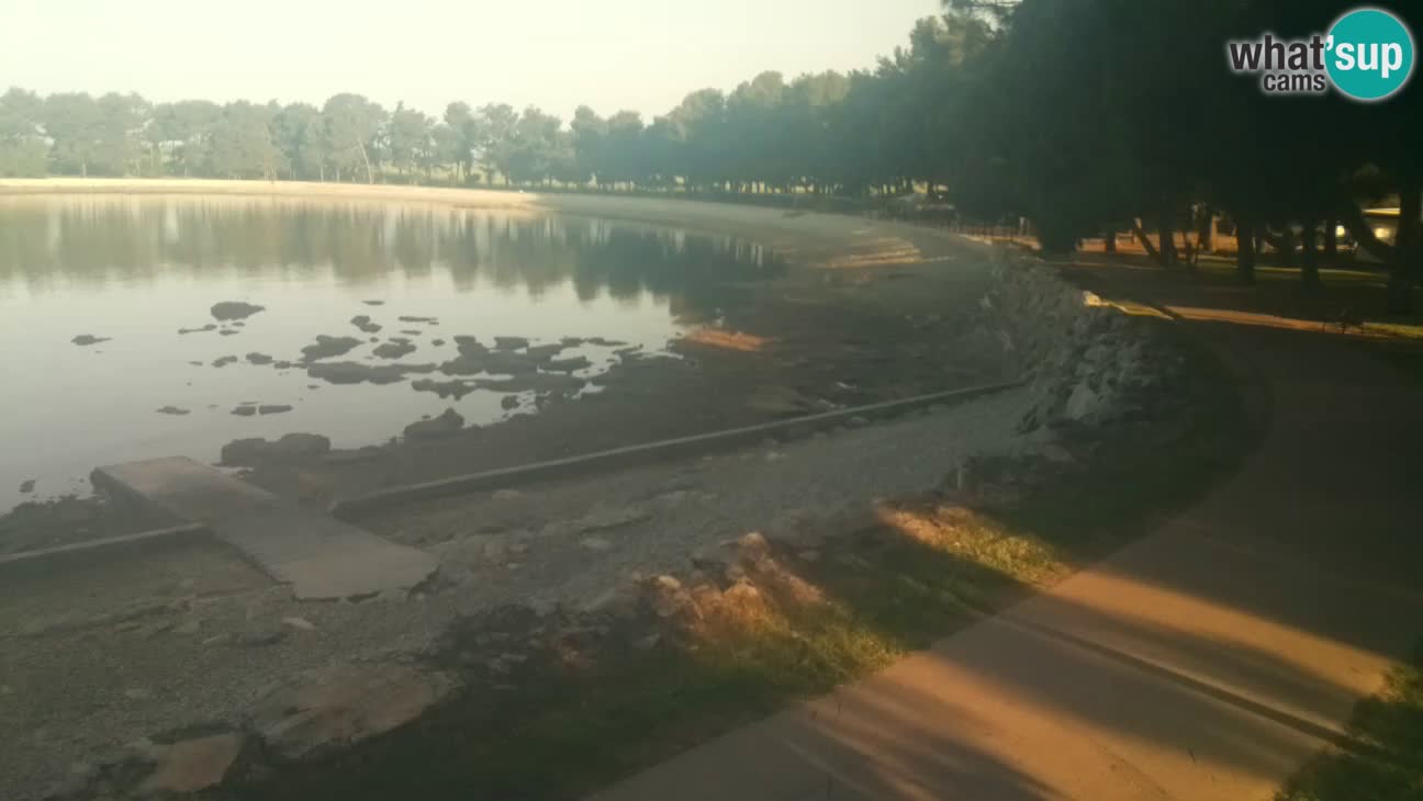 Novigrad – Strand Karpinjan webcam