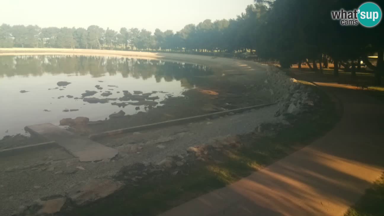 Novigrad live cam – Karpinjan beach