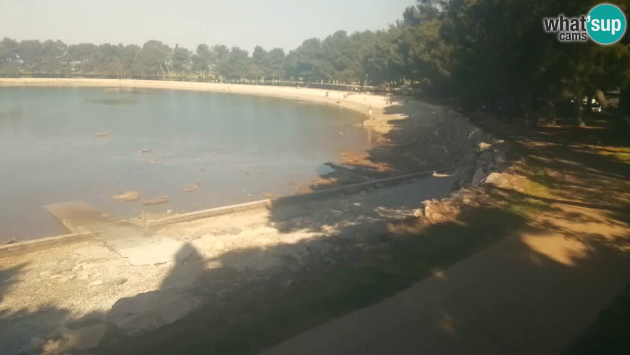 Novigrad – Plaža Karpinjan