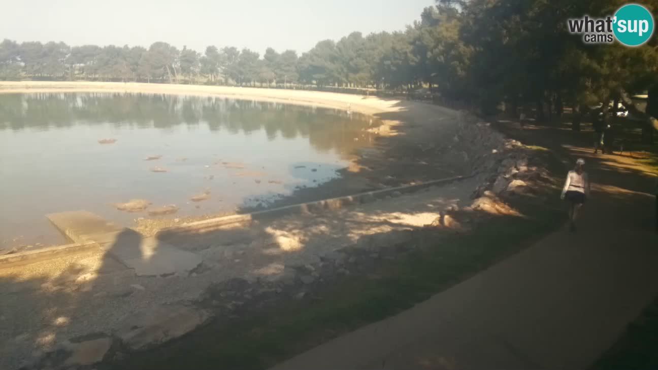 Novigrad live cam – Karpinjan beach