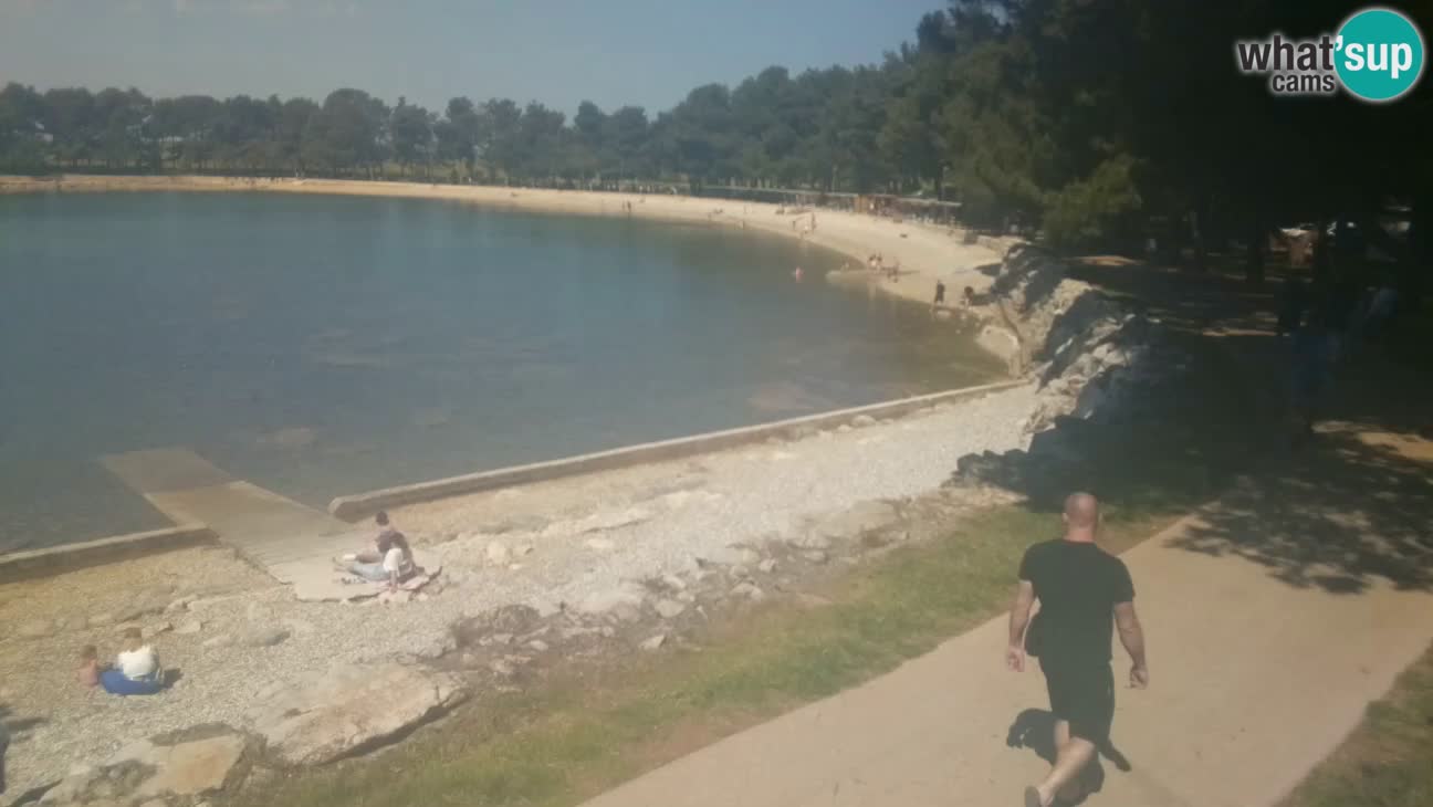 Novigrad live cam – Karpinjan beach